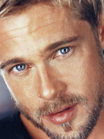 http://www.theaudience.it/wp-content/uploads/2011/01/brad-pitt-attore.jpg